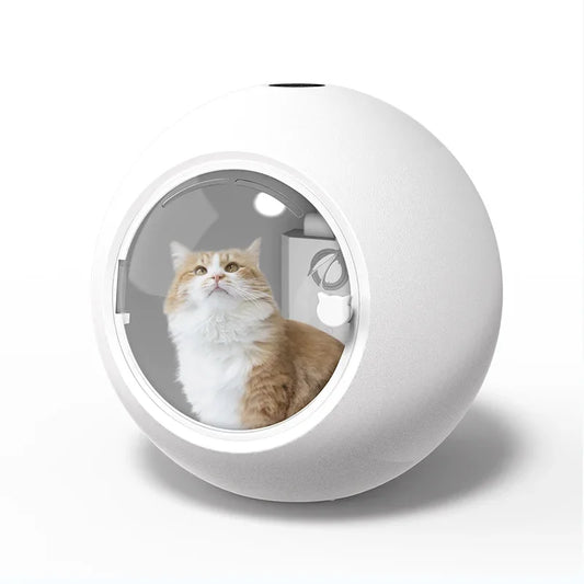 PawDry Pro UV Box